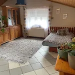 Damentka's Nest * Varsóvia