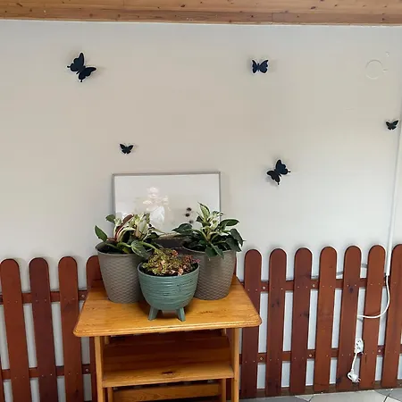 Damentka's Nest Apartment Warschau