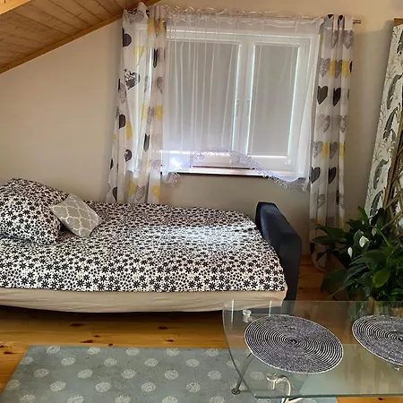 公寓 Damentka's Nest 华沙