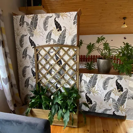 Damentka's Nest *
