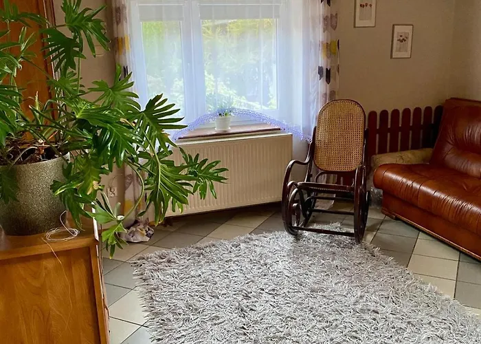 Damentka's Nest * Варшава