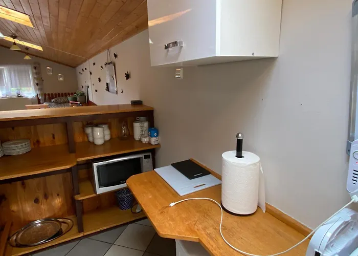 Апартаменты Damentka's Nest *