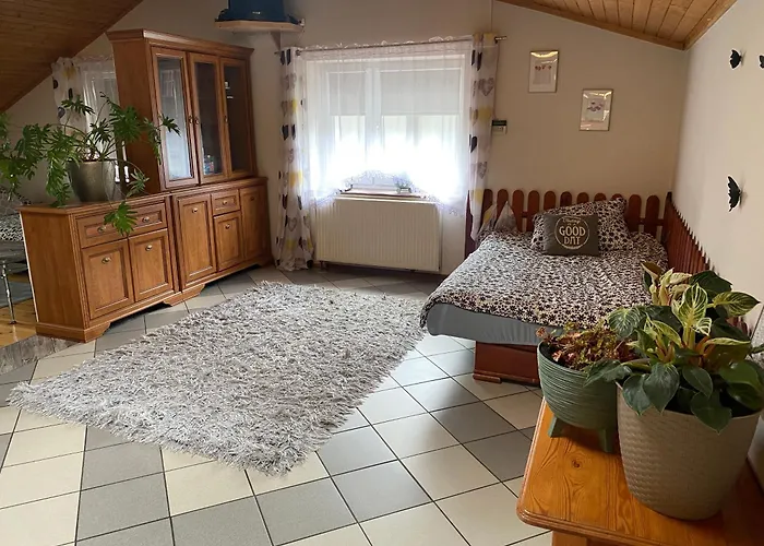 Damentka's Nest * Варшава