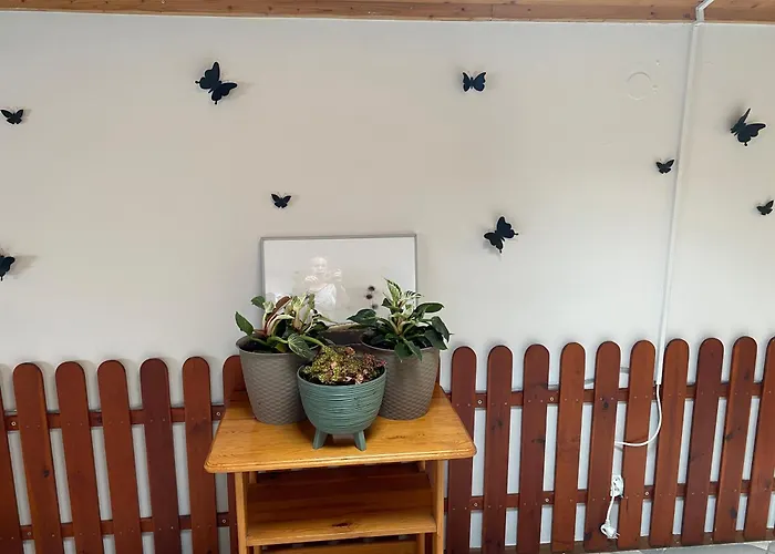 Damentka's Nest Апартаменты Варшава